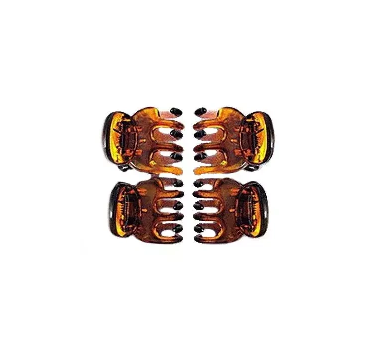 ezebra2181270