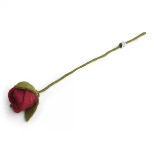 pure-schoenheit2161724