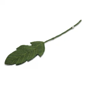 pure-schoenheit2161919