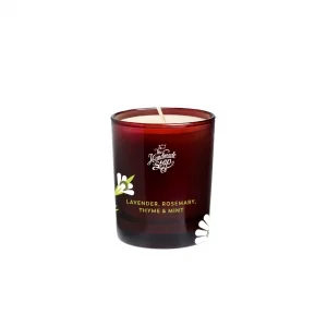 pure-schoenheit2167391