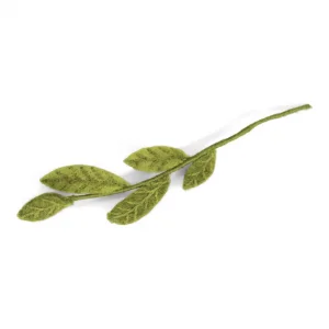 pure-schoenheit2171377