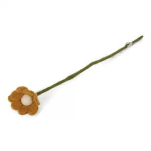 pure-schoenheit2171395