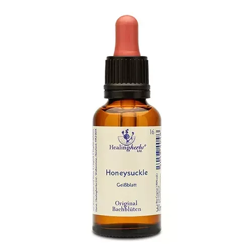 realapotheke1941895