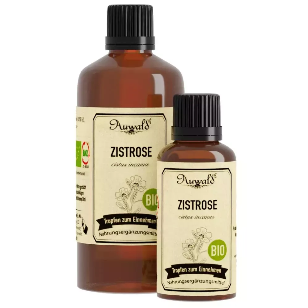 realapotheke1943066