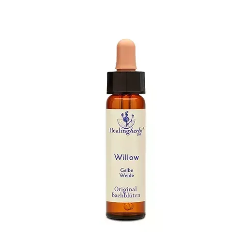 realapotheke1948492