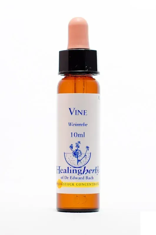 realapotheke2084837