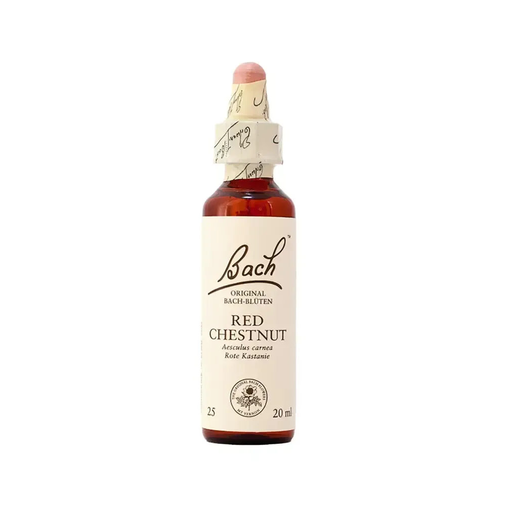 realapotheke2088828