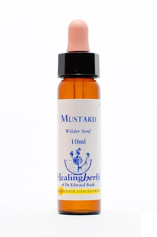 realapotheke2094719