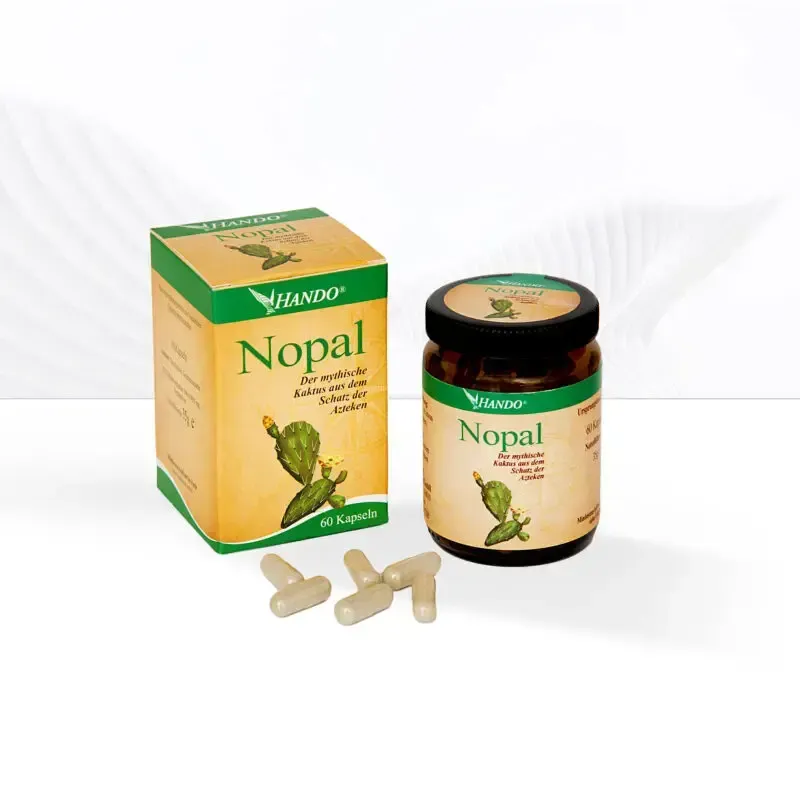 realapotheke2156609