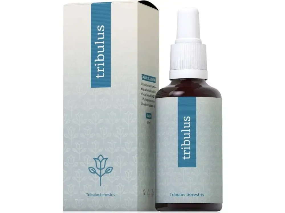 realapotheke2174058